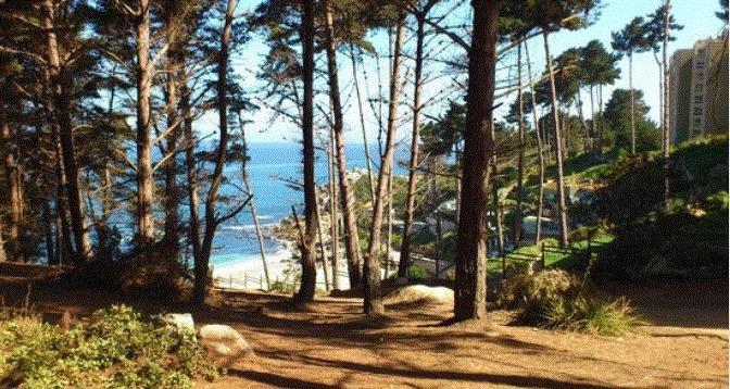 Departamento Algarrobo Condominio Laguna Екстериор снимка
